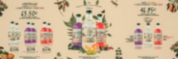GIN OBSESSION